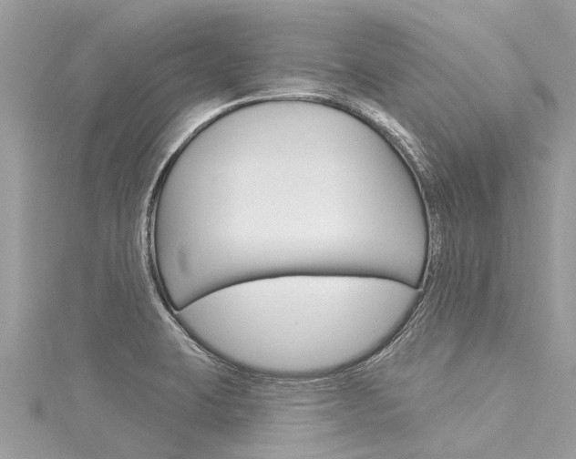 X0000116041423200911201011