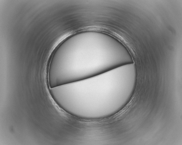 X0000116041426200911201011