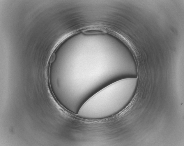 X0000116041434200911201011