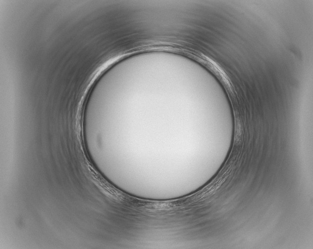X0000116041435200911201011