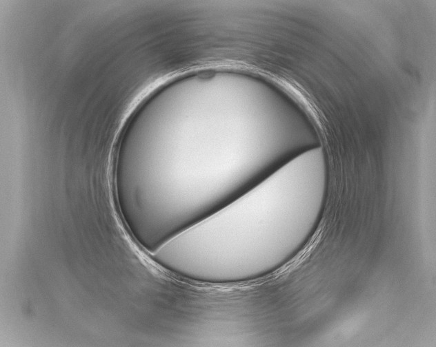X0000116041438200911201011
