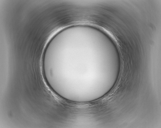 X0000116041440200911201011