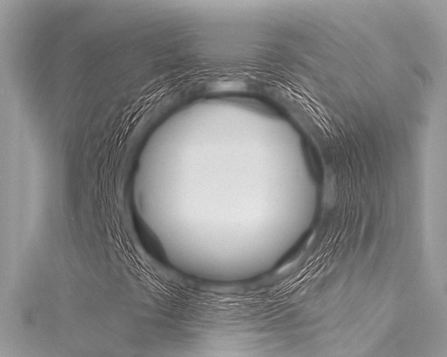 X0000116041441200911201011