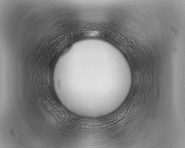 X0000116041442200911201011