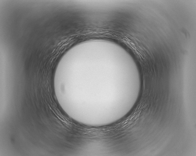 X0000116041444200911201011