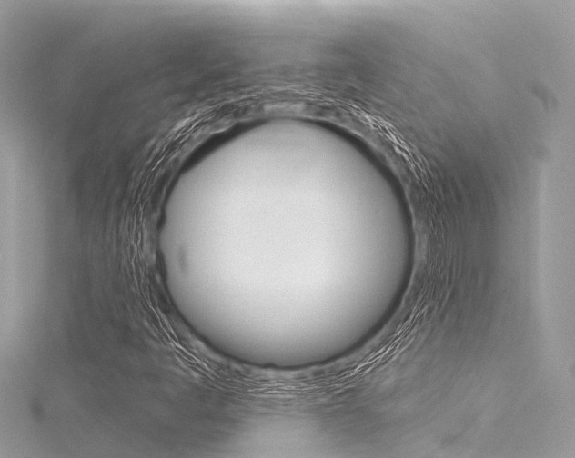 X0000116041445200911201011