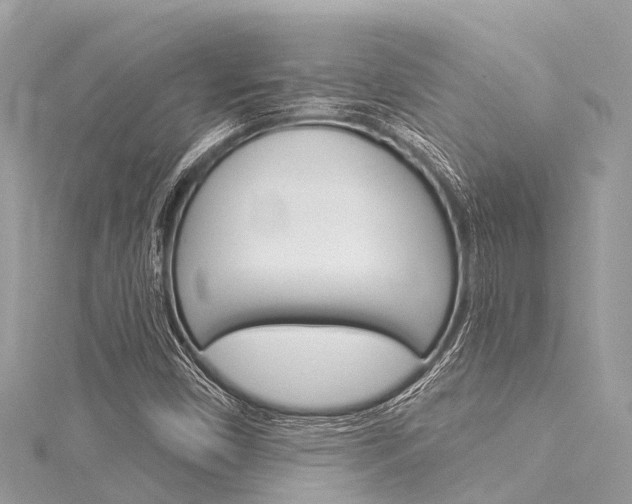 X0000116041450200911201011