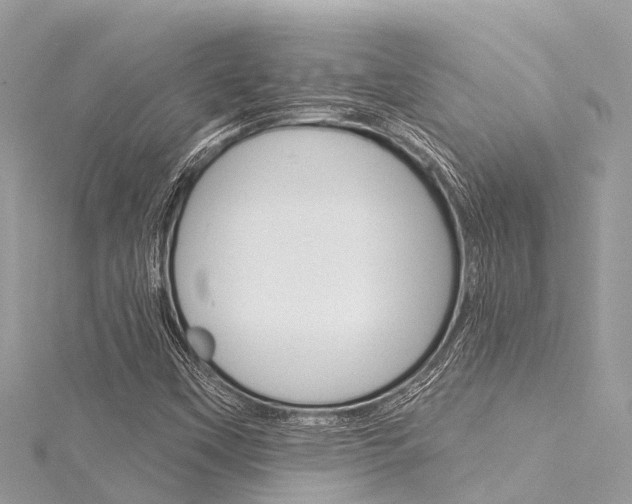 X0000116041451200911201011