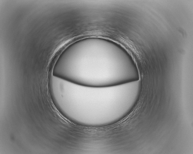 X0000116041452200911201010