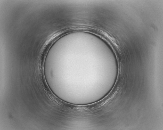 X0000116041453200911201010