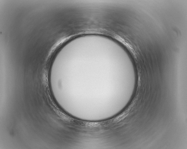 X0000116041454200911201010
