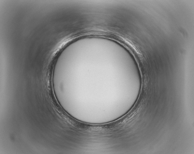 X0000116041455200911201010