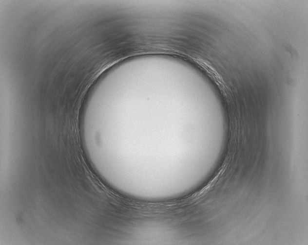 X0000116041457200911201010