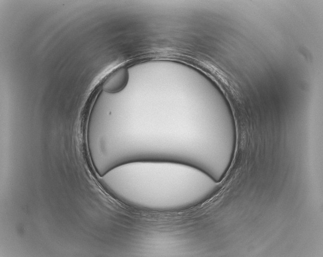 X0000116041458200911201010