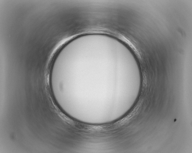 X0000116041462200911201010