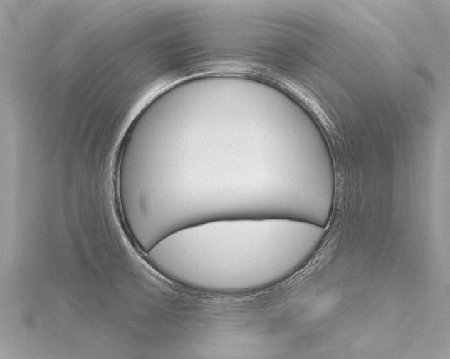 X0000116041475200911201010