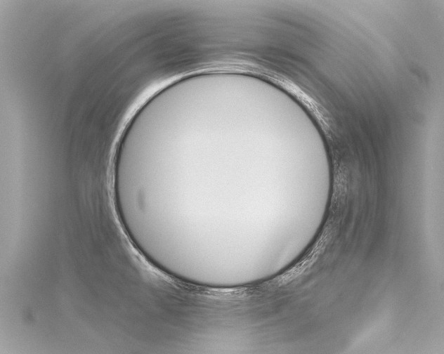 X0000116041478200911201010