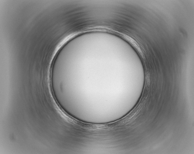 X0000116041482200911201010