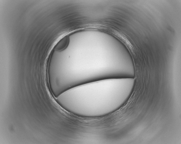 X0000116041483200911201010