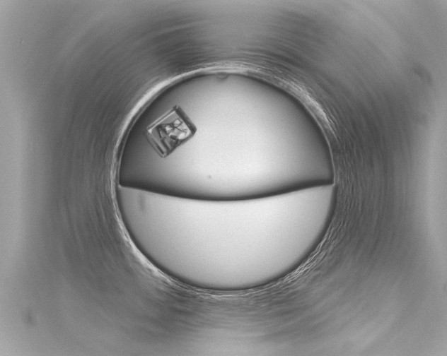 X0000116041484200911201010