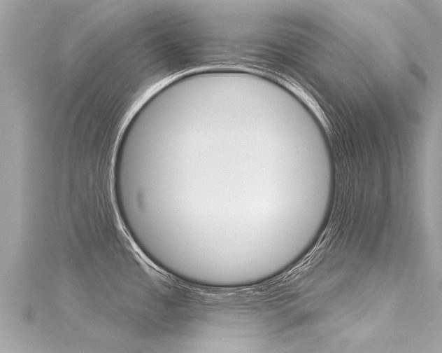 X0000116041485200911201010