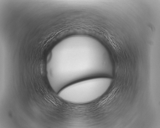 X0000116041490200911201009