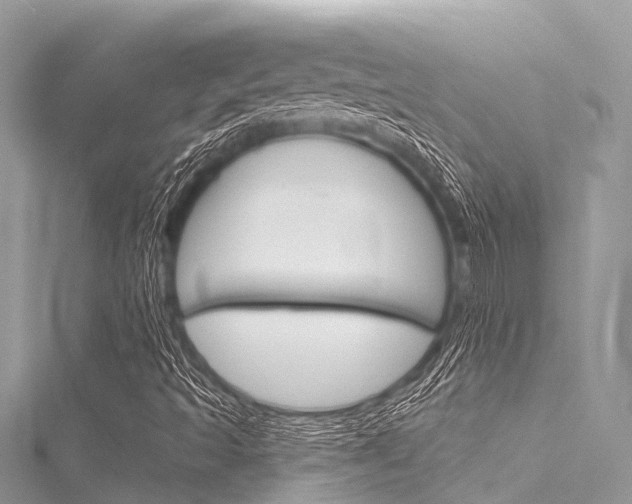 X0000116041493200911201009