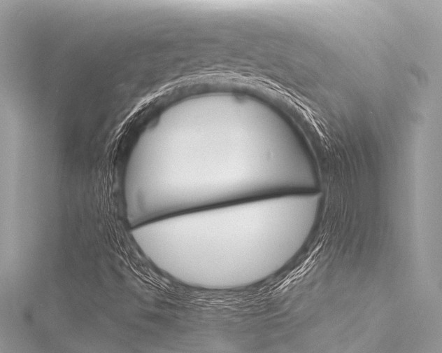 X0000116041494200911201009