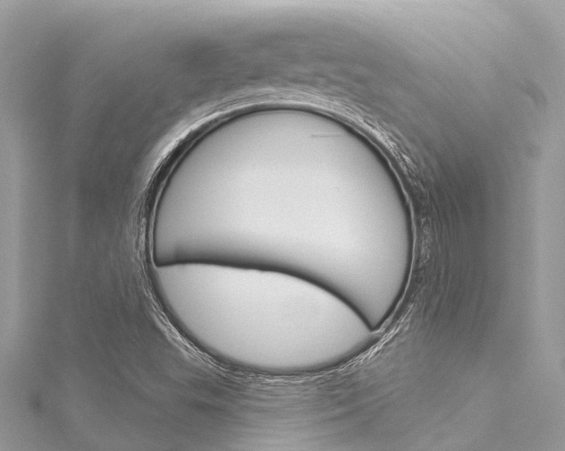 X0000116041503200911201009