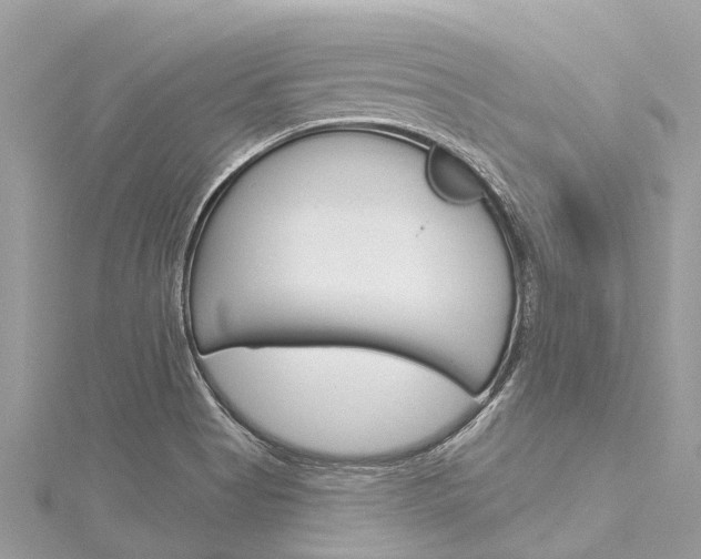 X0000116041513200911201009