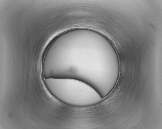 X0000116041515200911201010