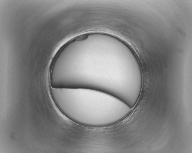 X0000116041519200911201010