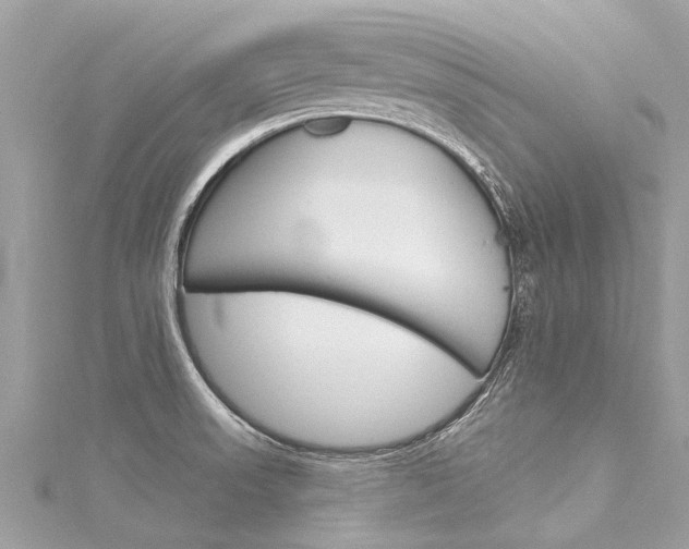 X0000116041523200911201010
