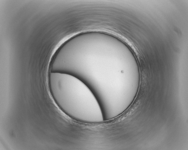 X0000116041525200911201010