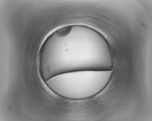 X0000116041526200911201010