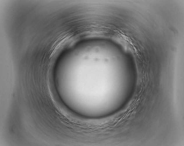 X0000116040001200911201354