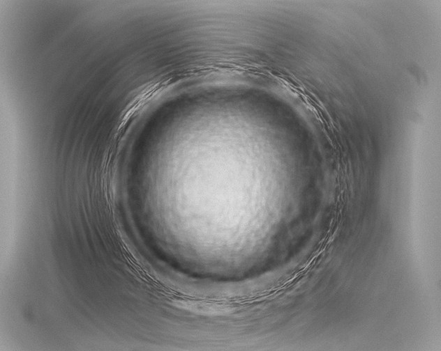 X0000116040002200911201354