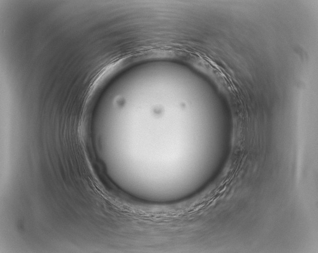 X0000116040003200911201354