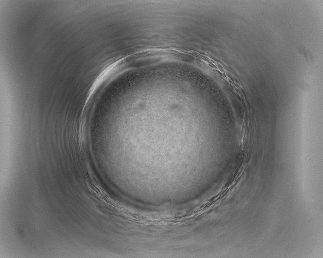 X0000116040004200911201354