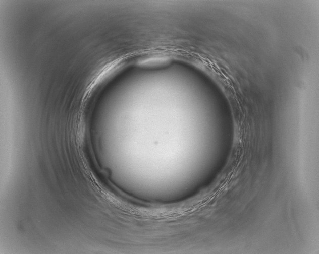 X0000116040005200911201354