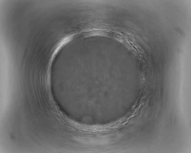 X0000116040006200911201354