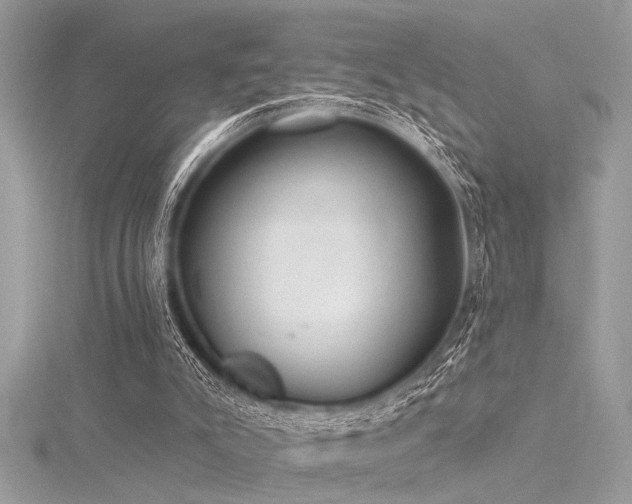 X0000116040007200911201354