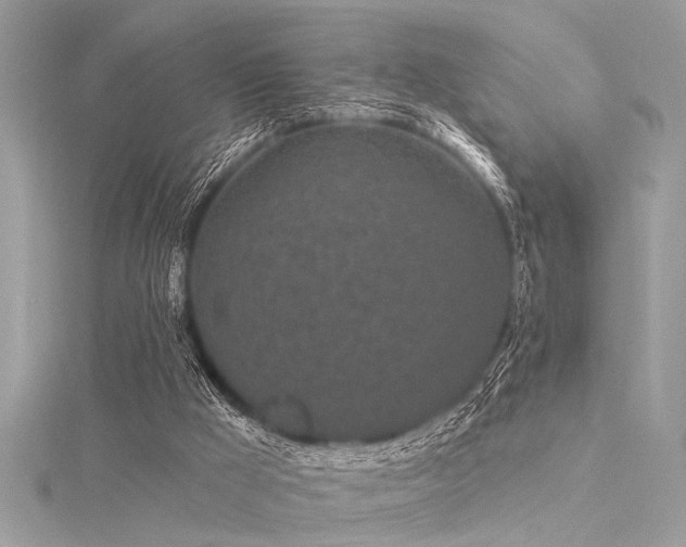 X0000116040009200911201354