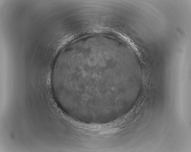 X0000116040010200911201354