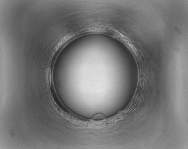 X0000116040011200911201354