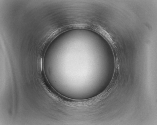 X0000116040013200911201354