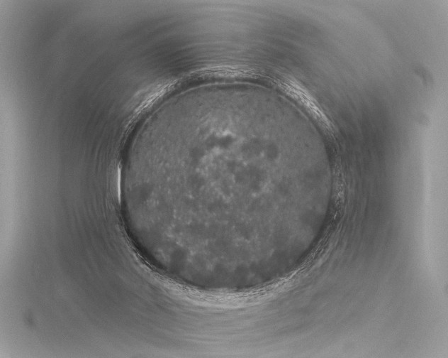 X0000116040014200911201354