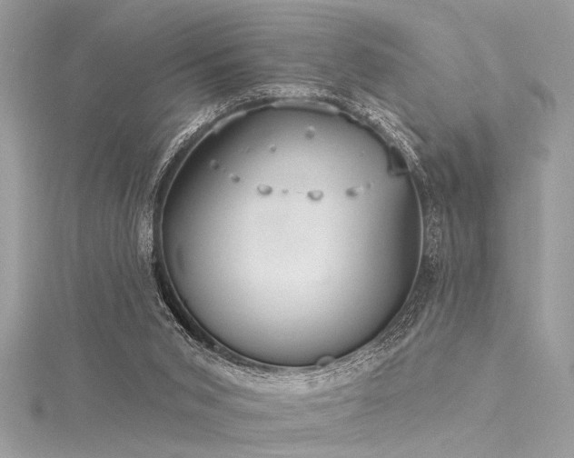 X0000116040015200911201354