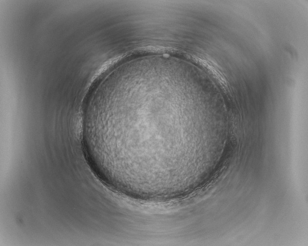 X0000116040016200911201354