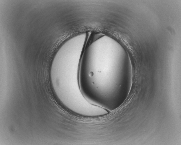 X0000116040017200911201354